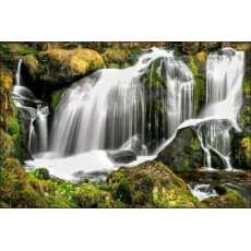 Fototapeta Wodospad w Lesie 120 x 180