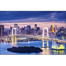 Fototapeta Tęczowy Most w Tokio 120x180