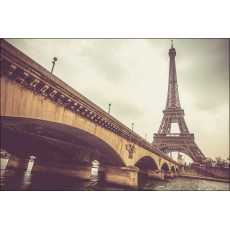 Fototapeta Paryż Wieża Eiffla 254x184 /134723087