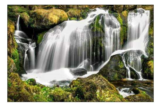 Fototapeta Wodospad w Lesie 300 x 450