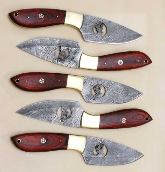 Pack of 5 Unique Stag design Dollar wood Hunting Knife Damascus Kitchenware